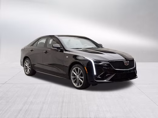 DLT PILOT CAR showroom